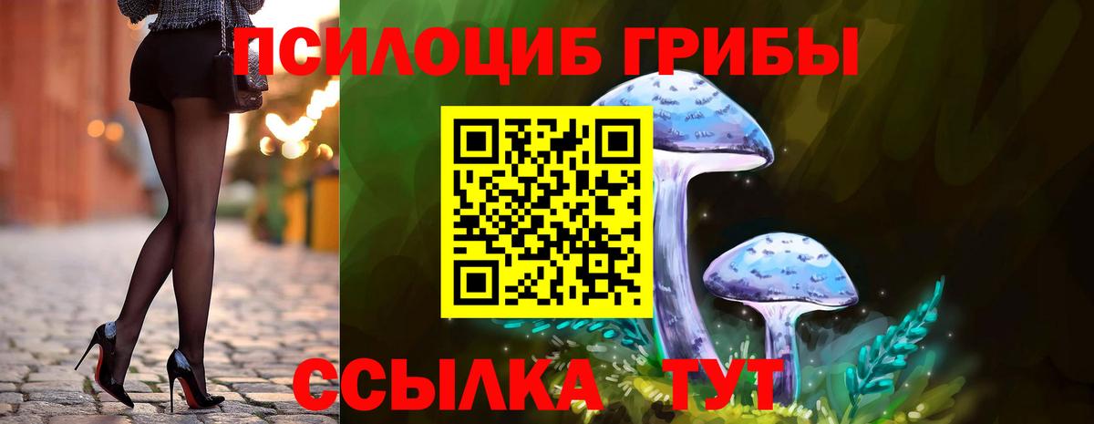 Осинники  Псилоцибиновые грибы Magic Shrooms  Вход с VPN  Галлюциногенные грибы Psilocybine cubensis 